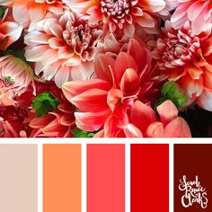 a bunch of flowers that are in some color swatches with the words peach and red