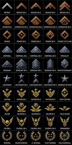 the golden and silver emblems for different types of aircraft engines are shown in this chart