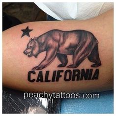 a bear with the word california written on it's arm and stars in the background