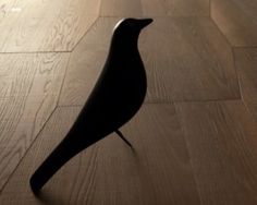 a black bird standing on top of a wooden floor