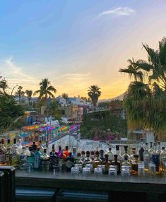 an outdoor bar with lots of bottles and glasses on the counter next to palm trees