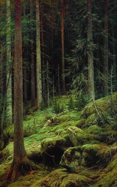 a painting of trees and rocks in the woods with mossy grass on the ground