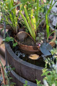 a wooden barrel filled with water and plants