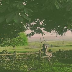 a person sitting on a bench with a tree in the foreground and a field in the background