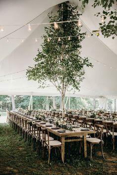 an outdoor tent with tables and chairs set up for a wedding reception under a tree