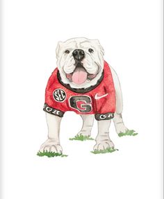 a drawing of a dog wearing a shirt with the number 5 on it's chest