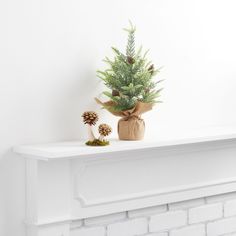 a small christmas tree sitting on top of a white mantel next to a potted pine