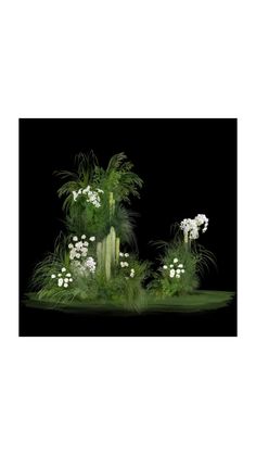 some white flowers and green grass on a black background