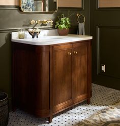 a bathroom sink with a mirror above it and a plant on the counter top next to it