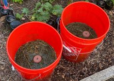 two buckets filled with dirt next to plants