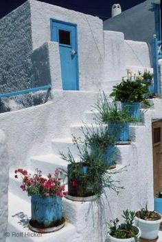 several potted plants on the steps of a white building with blue doors and windows