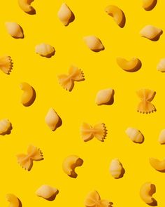 several different types of shells on a yellow background