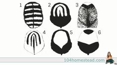 four different types of feathers are shown in this graphic style, with the number one on each