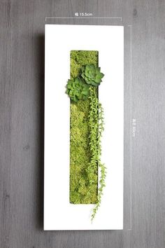 a card with moss and plants on it