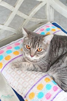 a gray cat laying on top of a colorful blanket next to a white wooden chair