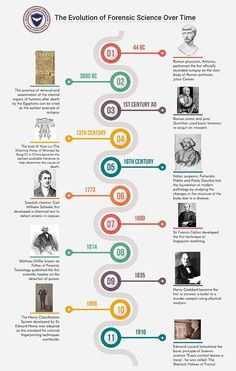 the evolution of science info sheet