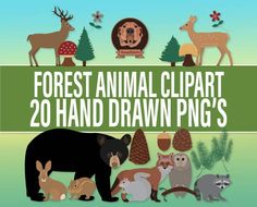 forest animal clipart 20 hand drawn png's for kids and toddlers