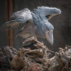 a large bird is perched on top of a tree stump