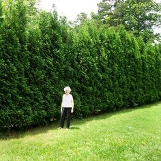 an older woman standing in front of a tall hedge