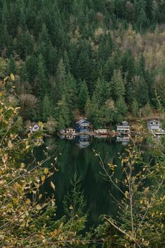 a body of water surrounded by trees and houses in the distance with mountains in the background