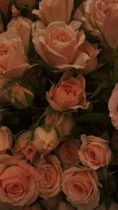 a bunch of pink roses that are in the middle of some kind of flower arrangement