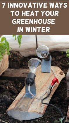 an image of some plants in the ground with text overlay that reads 7 innovative ways to heat your greenhouse in winter