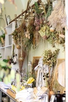 a room filled with lots of different types of flowers and plants hanging from the ceiling