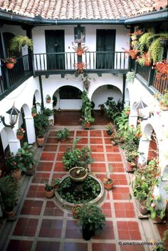 an indoor courtyard with potted plants and pots