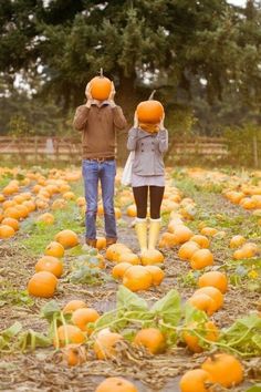 two people wearing pumpkin heads walking through a field