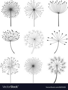 the dandelions are drawn in black and white