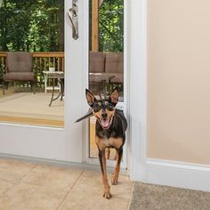 a dog standing in front of a door with its mouth open and it's tongue hanging out