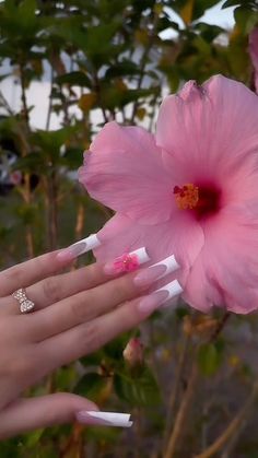 Hibiscus Nails, Latina Nails, Flowers Hibiscus, Tapered Square Nails, Hilarious Photos, French Tip Acrylic Nails, Simple Acrylic Nails, Long Square Acrylic Nails