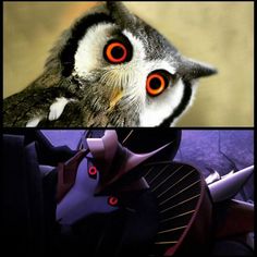 an owl with big red eyes is looking at the camera and another bird has orange eyes