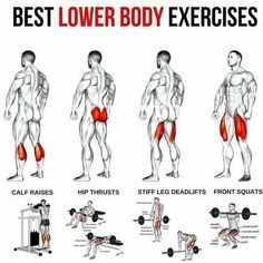 #lowerbody #lowerbodyworkout #workout #workoutmotivation #exercise #training #legs #legworkout #legday #legdayworkout #squats #legpress #lunges Healthy Physique, Lower Body Exercises, Exercises For Men, Fitness Studio Training, Muscle Abdominal