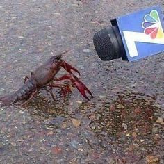 a crayceros drinking out of a bottle with a message written on it