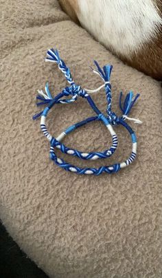 a dog laying on top of a couch next to a blue and white beaded bracelet