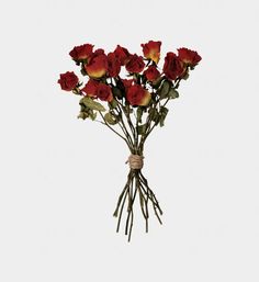 a bunch of red roses tied to a string