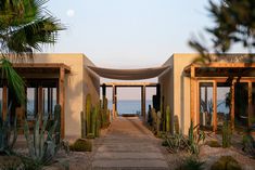 an entrance to a resort with cactus and cacti in the foreground, overlooking the ocean