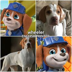 three pictures of dogs with different expressions and words on their faces, including one dog wearing a construction hat