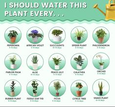 a poster with different types of house plants