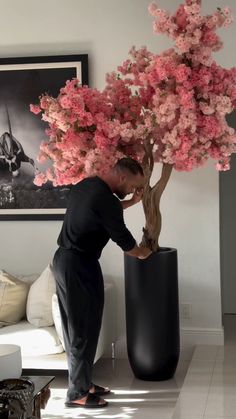 a man standing next to a bonsai tree with pink flowers on it's trunk