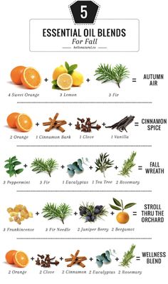 the top five essential oils for hair and body info poster with oranges, rosemary, cinnamon