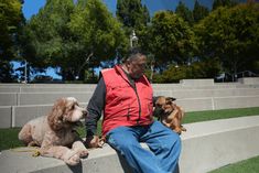 a man sitting on concrete steps with two dogs and one is looking at the camera