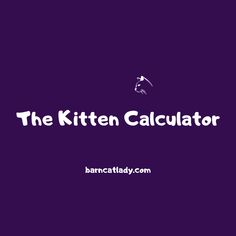 the kitten calculator logo on a purple background