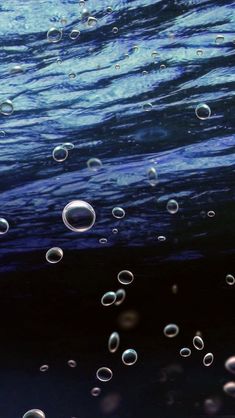 bubbles are floating in the blue water