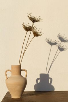 the shadow of two flowers in a vase on a table next to a white wall