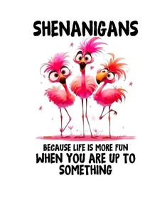 three pink flamingos standing next to each other with the caption, shenangans because life is more fun when you are up to something