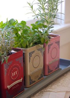 three tins with plants in them sitting on a window sill