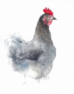 a watercolor painting of a chicken with a red comb on it's head