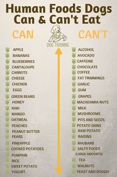 a poster with the words human foods dogs can and can't eat on it